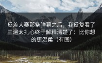 反差大赛那条弹幕之后，我反复看了三遍太扎心终于解释清楚了：比你想的更温柔（有图）